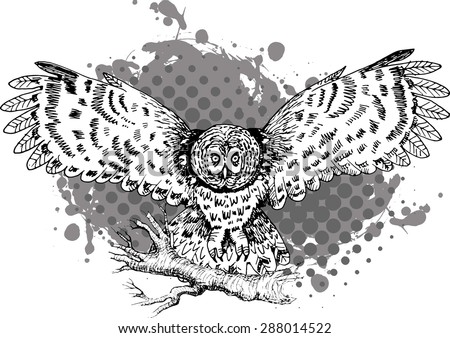 Vector Owl On Branch Owl Inflight Stock Vector (Royalty Free) 288014522