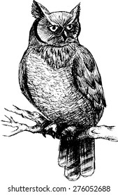 Vector owl on a branch. White and black.
