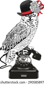 Vector owl telephone in hat and flower  White  black  red  Drawing hands 