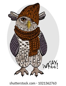 Vector owl with orange knitted hat and scarf. Hand drawn illustration of owl. 