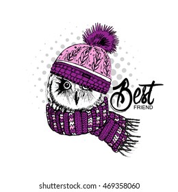 Vector owl in a pink knitted hat and scarf. Hand drawn illustration of dressed owl.