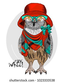 Vector owl with red hat and scarf. Hand drawn illustration of dressed owl.