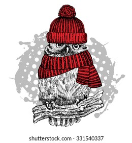 Vector owl in red hat  White  black  red 