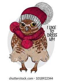 Vector owl with red knitted hat and scarf. Hand drawn illustration of owl. 