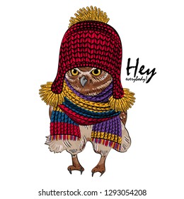 Vector owl with red knitted hat and knitted scarf. Hand drawn illustration of dressed owlet.