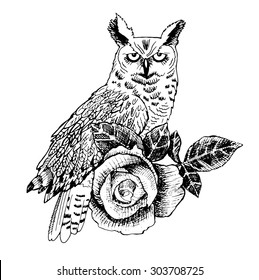 Vector owl with rose. White and black