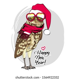 Vector owl - santa claus with a red cap, glasses and scarf. Hand drawn illustration of dressed owl. Happy New Year.