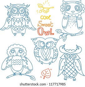 Vector Owl set