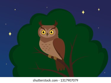 Vector owl sitting on a tree at night