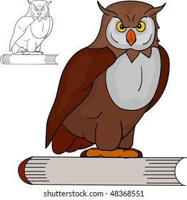 vector - owl standing on a book, isolated on background