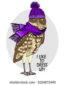 Vector owl with violet knitted hat and scarf. Hand drawn illustration of dressed owl.