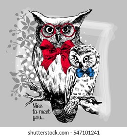 Vector owls with glasses and bows. Hand drawn illustration of dressed owls.