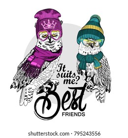 Vector owls with glasses and knitted hat. Hand drawn illustration of owls.