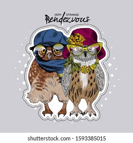 Vector owls with hats, scarves and flowers. Illustration of dressed eagle owls. Print on T-shirts, bags and other fashion products. Design children's clothing and accessories. 