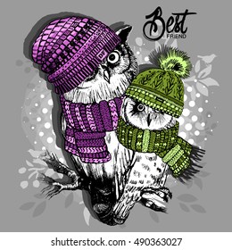 Vector owls in a knitted hats and scarfs. Violet and green. Hand drawn illustration of dressed owls.