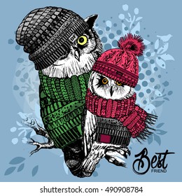 Vector owls in a knitted hats and scarfs. Hand drawn illustration of dressed owls.