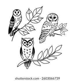 Vector owls outline set different style