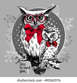 Vector owls with red glasses and red bows. Hand drawn illustration of dressed owls.