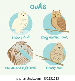 vector owls set: snowy owl, long eared-owl, tawny owl, eurasian eagle owl. Can be used in web design, printed on fabric/paper, as a background, or as an element in a composition