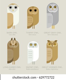 Vector owls set. Varieties of owls. Characters collection. Geometric simple design. Pastel shades. 