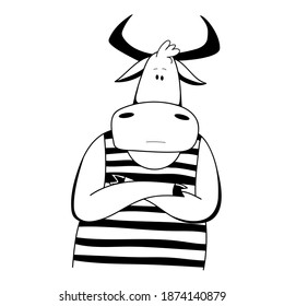 Vector Ox. Hand drawn cute cow. Chinese new year 2021 symbol -  year of the ox. Line funny bull  illustration isolated on white