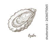 Vector oyster shell line art illustration, graphic line mollusk. Opened oyster sea food. Engraving. Ingredient. Great for menu designs, Ideal for menus, food branding, packaging and summer designs