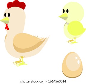 Vector pack of Chicken(growth and youth) and eggs