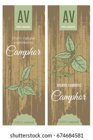 Vector packaging with camphor.Healing,cosmetics herb.Medical plant. Great for traditional medicine design.Botanical plant. Great design for natural and organic products.