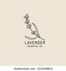 Diseño de empaque vectorial e ícono en estilo lineal - aceite de lavanda - comida vegetal saludable. Signo de logotipo