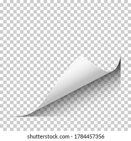 Vector Page Lower Right Curl With Shadow On Blank Transparent Sheet Of Paper