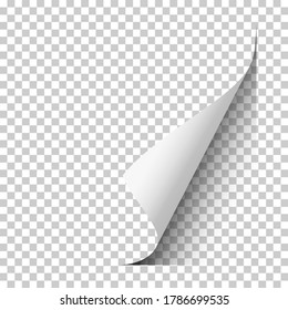 Vector Page With Lower Right Curl With Shadow On Blank Transparent Sheet Of Paper