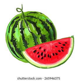 vector paint hand drawn picture of watermelon