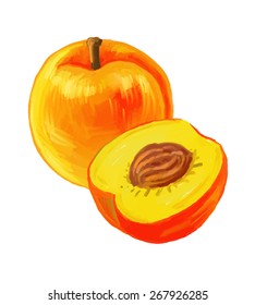 vector paint hand drawn picture of peaches