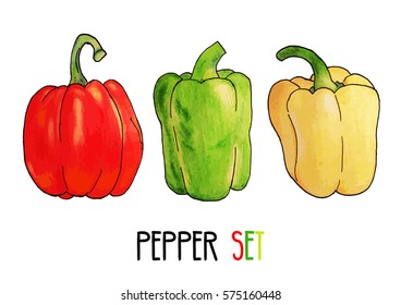 vector paint hand drawn set illustration of sweet yellow, green and red bell pepper on white background. Paprika