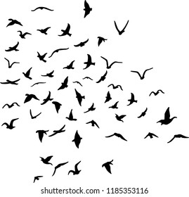 Vector painted flock of birds isolated on white background