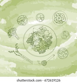 Vector painted illustration from a hand holding lunch and ingredients to a recipe
