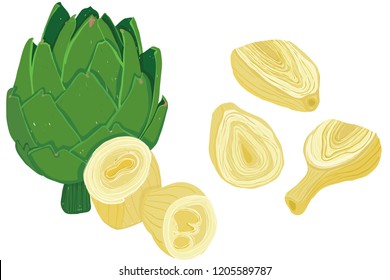 Vector painterly set of artichokes, raw and cooked; editable, scalable illustration isolated on a white background. Use it for recipes, restaurant menus and as food elements.