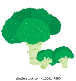 Vector painterly set with broccoli editable, scalable illustration, isolated on a white background. Use it for recipes, restaurant menus and as food elements.