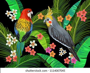 Vektorgrafik mit australischen Papageien, Rosella und Cockatiel, umgeben von Palmenblättern und exotischen Blumen. Realistische Vogelpflanzen. Farbige Sommerkleidung. Naturhintergrund.