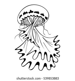 Vector painting jellyfish. Medusa Illustration isolated on white background, element tattoo design, cartoon, doodle.

