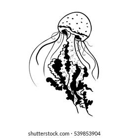 Vector painting jellyfish. Medusa Illustration isolated on white background, element tattoo design, cartoon, doodle.
