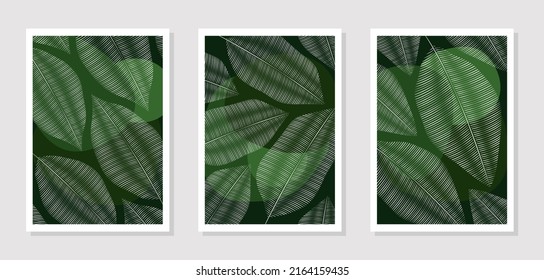 Pinturas vectoriales con hojas blancas en un fondo verde oscuro, decoración en las paredes. Un conjunto de imágenes para imprimir pinturas, postales, tarjetas de visita o carteles