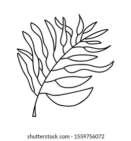 Vector Palm exotic leaf line art. Contour drawing icon. Minimalism art logo. Modern design summer