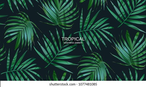Vector palm frond. Tropical leaves seamless pattern. Banana leaf background. Exotic design isolated. Hawaiian print. Jungle plants. Summer illustration.