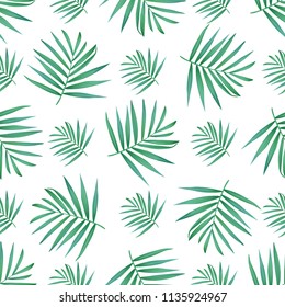 Vector palm frond. Tropical leaves seamless pattern. Banana leaf on white background. Exotic design isolated. Hawaiian print. Jungle plants. Summer illustration.