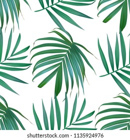 Vector palm frond. Tropical leaves seamless pattern. Banana leaf on white background. Exotic design isolated. Hawaiian print. Jungle plants. Summer illustration.