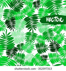 Vector palm green color isolated on a white. Multi green color leaf tropical plants pattern seamless. Ginger tropical plants.