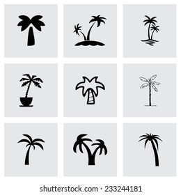 Vector palm icon set on grey background