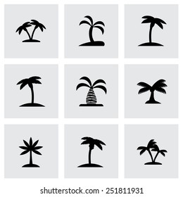 Vector palm icon set on grey background