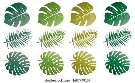 ilustración de la hoja de palma vectorial para decoración en fondo blanco 